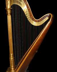 Koncert studenata harfe