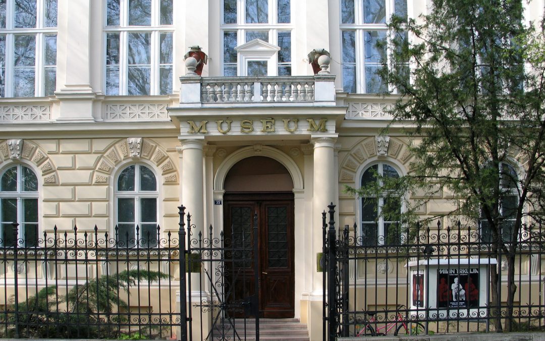 Музеј Војводине отворен за посетиоце