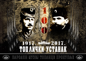 Stručno vođenje kroz izložbu “Toplički ustanak 1917-2017.”
